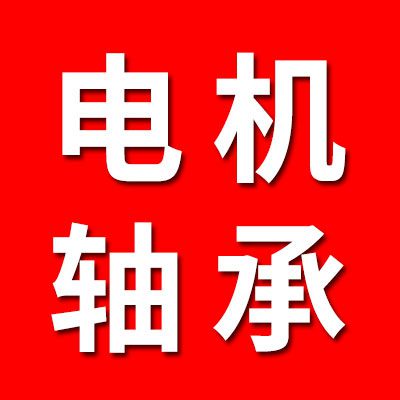 電機(jī)軸承大全