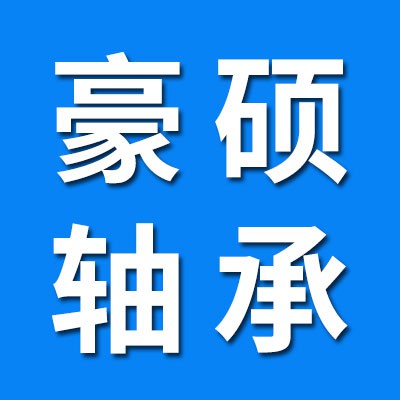 豪碩深溝球、電機軸承
