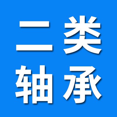 專業(yè)生產(chǎn)SL滿裝圓柱滾子軸承